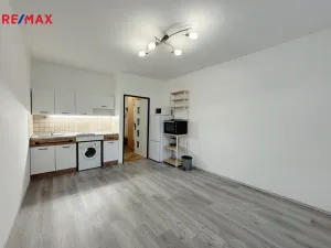 Pronájem bytu 1+kk, Praha - Braník, Nad lesním divadlem, 23 m2