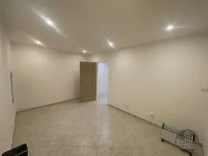 Pronájem bytu 2+kk, Praha - Žižkov, Biskupcova, 35 m2