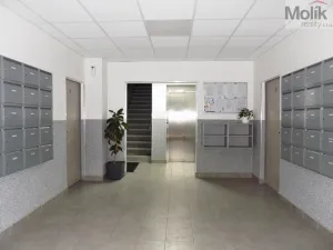 Prodej bytu 3+1, Ústí nad Labem - Ústí nad Labem-centrum, Malátova, 74 m2