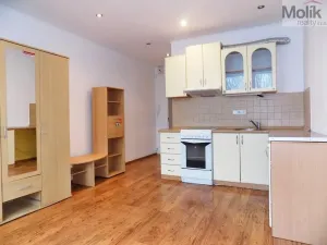 Prodej bytu 1+kk, Ústí nad Labem - Ústí nad Labem-centrum, Hoření, 21 m2