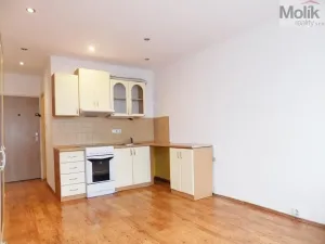 Prodej bytu 1+kk, Ústí nad Labem - Ústí nad Labem-centrum, Hoření, 21 m2