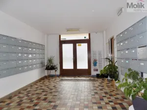 Prodej bytu 1+kk, Ústí nad Labem - Ústí nad Labem-centrum, Hoření, 21 m2