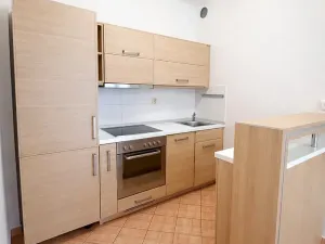 Pronájem bytu 2+kk, Praha - Holešovice, V háji, 54 m2