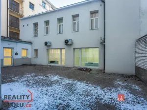 Prodej bytu 2+kk, Praha - Žižkov, Hartigova, 55 m2