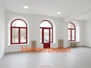 Pronájem obchodního prostoru, Havířov - Město, U Stromovky, 117 m2