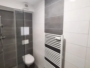 Pronájem bytu 1+kk, Karlovy Vary - Bohatice, Dubová, 38 m2