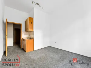 Prodej bytu 1+kk, Praha - Žižkov, Hartigova, 23 m2