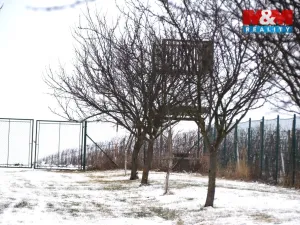 Prodej pole, Starý Poddvorov, 4096 m2