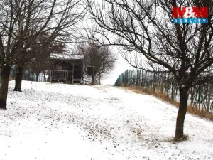 Prodej pole, Starý Poddvorov, 4096 m2