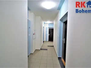 Pronájem bytu 2+kk, Praha - Žižkov, V zahrádkách, 55 m2