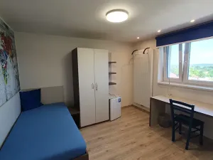 Pronájem pokoje, Ostrava, Koblovská, 7 m2