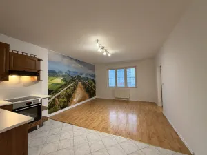 Pronájem bytu 2+kk, Mladá Boleslav - Mladá Boleslav II, 17. listopadu, 55 m2