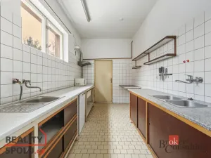 Prodej rodinného domu, Týniště nad Orlicí, V Sítinách, 395 m2