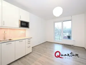 Pronájem bytu 1+kk, Praha - Malešice, Nad úžlabinou, 27 m2