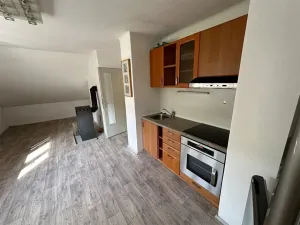 Pronájem bytu 1+kk, Velké Hamry, 42 m2