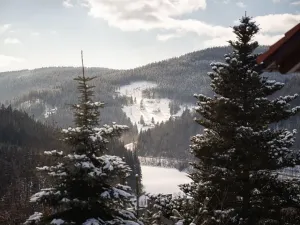 Prodej bytu 2+kk, Špindlerův Mlýn, Vodárenská, 41 m2