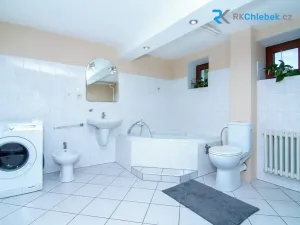 Prodej rodinného domu, Brumovice, Za Humny, 160 m2