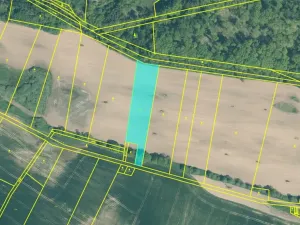 Dražba louky, Blatná, 11080 m2