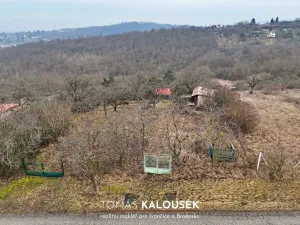 Prodej zahrady, Dolní Kounice, 1166 m2