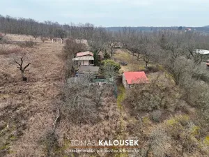 Prodej zahrady, Dolní Kounice, 1166 m2