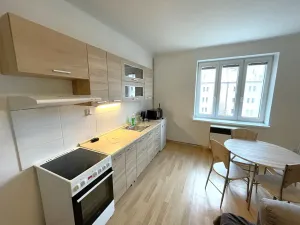 Pronájem bytu 1+kk, Plzeň, Guldenerova, 34 m2