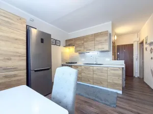 Pronájem bytu 1+1, Jirkov, SNP, 39 m2