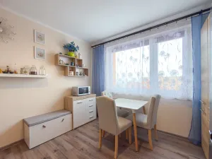 Pronájem bytu 1+1, Jirkov, SNP, 39 m2