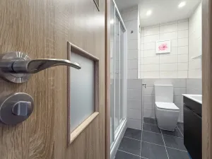 Pronájem bytu 1+1, Jirkov, SNP, 39 m2