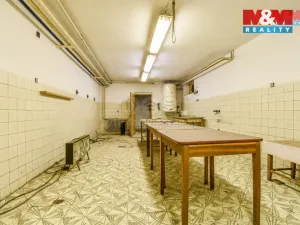 Prodej restaurace, Bílovec - Lubojaty, 500 m2