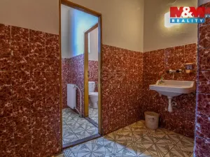 Prodej obchodního prostoru, Bílovec - Lubojaty, 500 m2