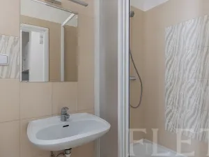 Pronájem bytu 2+kk, Praha - Vinohrady, Třebízského, 63 m2