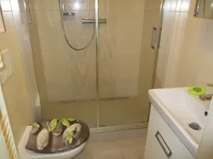 Pronájem bytu 1+kk, Jablonec nad Nisou, Janáčkova, 21 m2