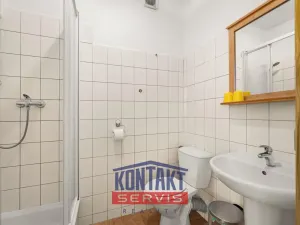 Prodej rodinného domu, Stachy, Kůsov, 660 m2