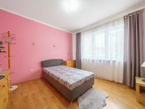Prodej bytu 2+1, Ostrov, Lidická, 54 m2
