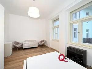 Pronájem bytu 1+1, Praha - Žižkov, Kubelíkova, 39 m2
