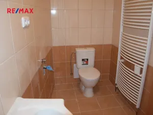 Pronájem bytu 1+kk, Klatovy, Rybníčky, 35 m2