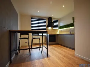 Pronájem bytu 2+1, Praha - Vinohrady, Lužická, 70 m2