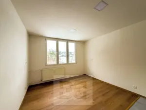 Pronájem bytu 1+kk, Dolní Bělá, 23 m2