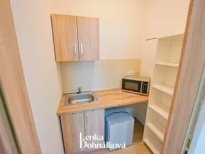 Pronájem komerční nemovitosti, Hodonín, Příční, 46 m2