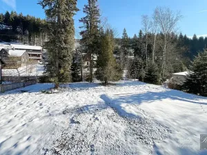 Prodej chaty, Kraslice, 30 m2