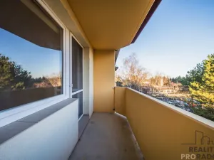 Prodej bytu 3+1, Veselí nad Moravou, Hutník, 74 m2