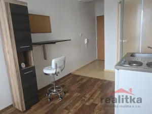 Prodej bytu 1+kk, Opava - Předměstí, Haškova, 14 m2