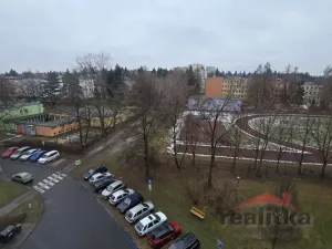 Prodej bytu 1+kk, Opava - Předměstí, Haškova, 14 m2