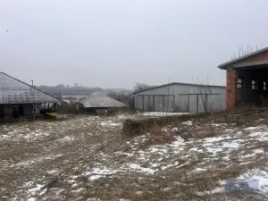 Prodej pole, Pavlov, 2020000 m2