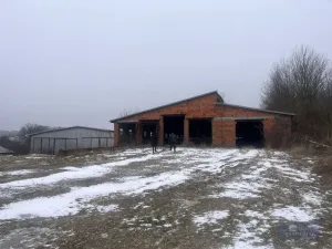 Prodej komerčního pozemku, Pavlov, 2000000 m2