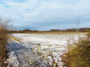 Prodej pozemku pro bydlení, Česká Skalice, 30928 m2