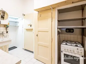Pronájem bytu 2+1, Praha - Žižkov, Žerotínova, 72 m2