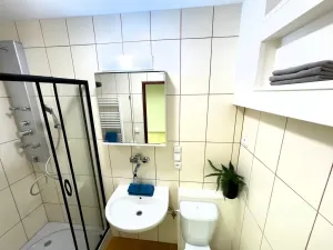 Pronájem rodinného domu, Brno, Kosmákova, 70 m2