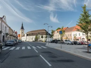 Prodej pozemku pro bydlení, Moravské Budějovice, 1610 m2