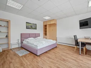 Prodej komerční, Broumov - Velká Ves, Kladská